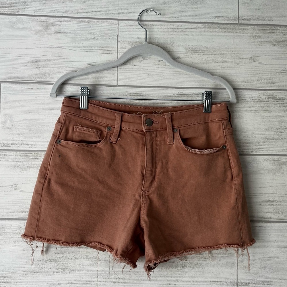 Light Coral Denim High Waisted Shorts